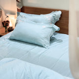 floral embroidered bedsheet set with pillow covers